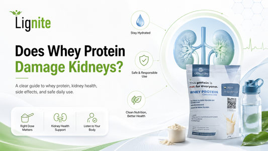 Does Protein Powder Damage the Kidney?