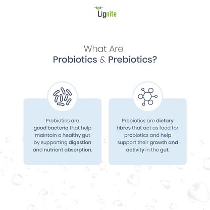 Pre and Probiotic Capsules | Gut Health Supplement | Lignite G-Micro